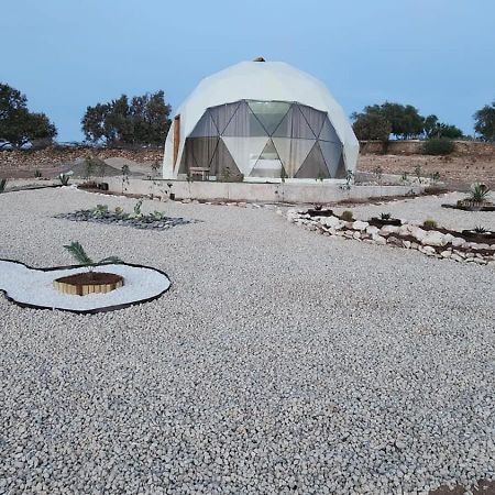 Tassourt Lodge الصويرة المظهر الخارجي الصورة
