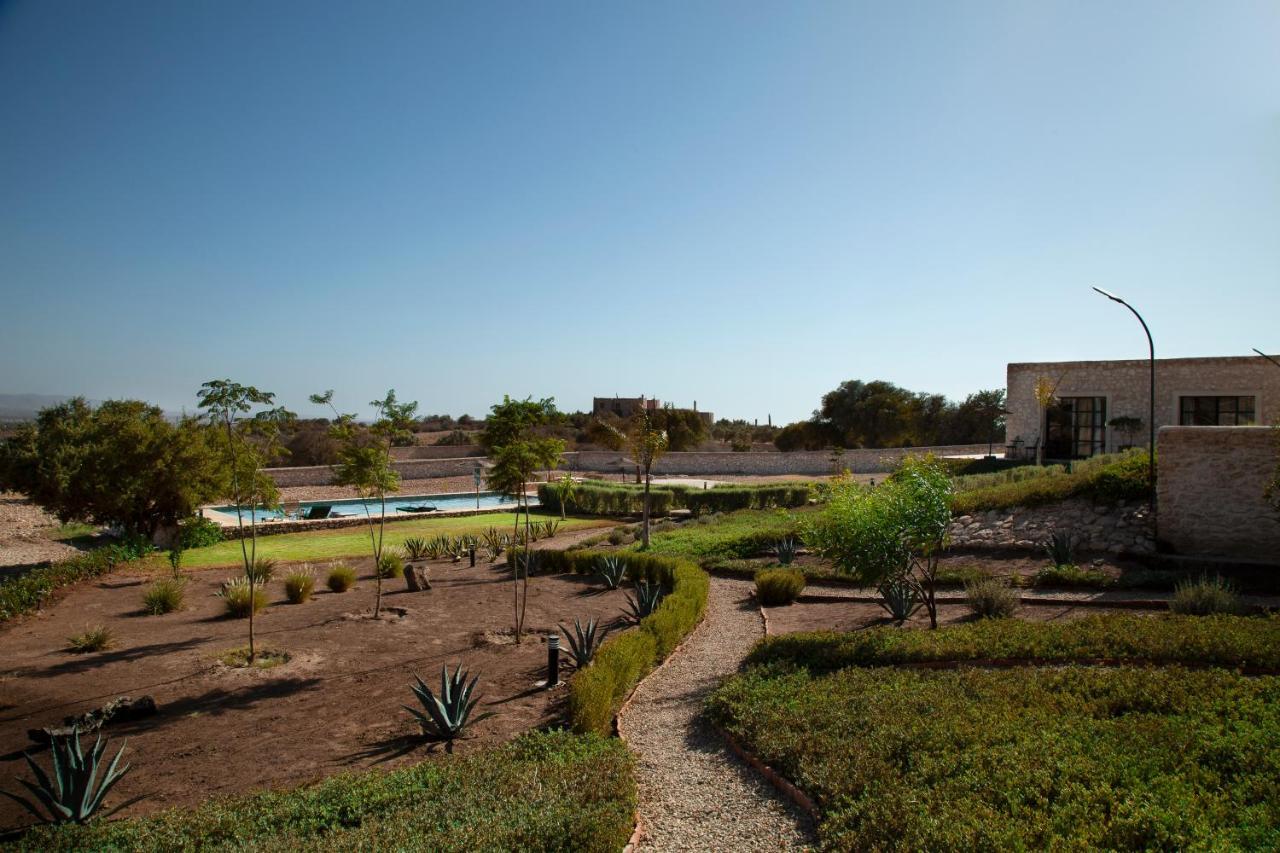 Tassourt Lodge الصويرة المظهر الخارجي الصورة